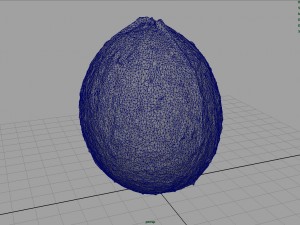 coconut Modelo 3D