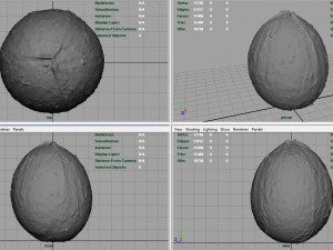 coconut Modelo 3D