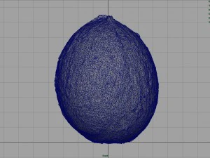 coco Modelo 3D