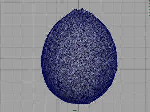 coco Modelo 3D