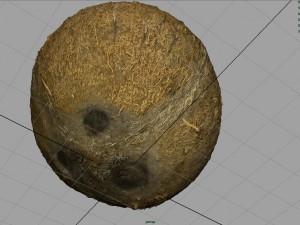 coconut Modelo 3D