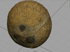 coco Modelo 3D