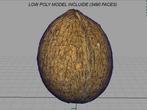 coconut Modelo 3D