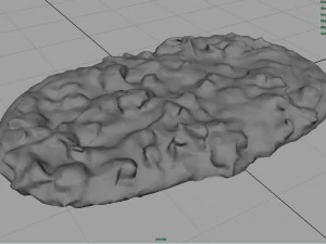 pizza 3D Model