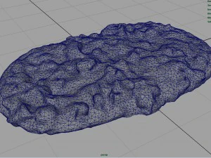 pizza 3D Model