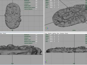 pizza 3D Model