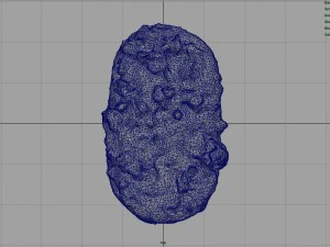 pizza 3D Model