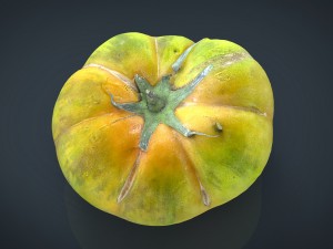 tomato 1 3Dモデル