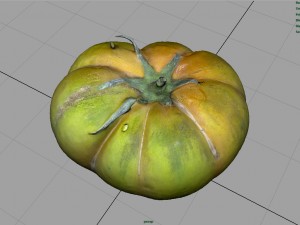 tomato 1 3D Model