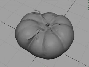 tomato 1 3D Model