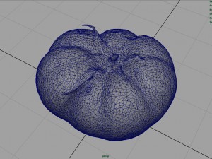 tomato 1 3D Model