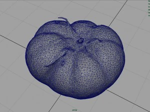 tomato 1 3D Model