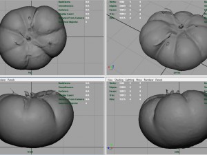 tomato 1 3D Model