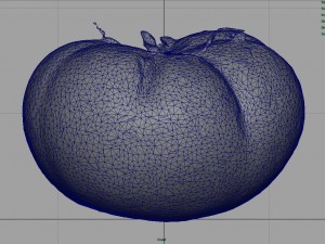 tomato 1 3D Model
