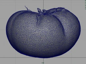 tomato 1 3D Model