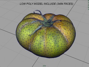 tomato 1 3D Model