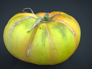 tomato 1 3D Model
