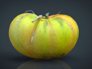 tomato 1 3D Model