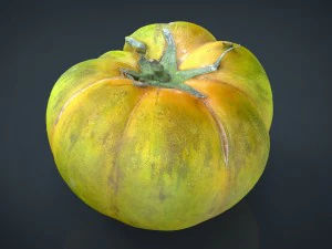 tomato 1 3D Model