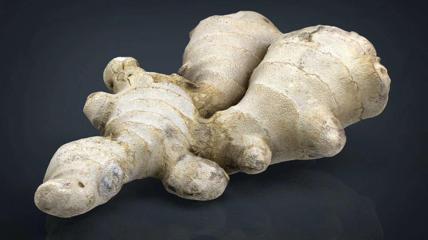 ginger 3D Model .c4d .max .obj .3ds .fbx .stl .blend 