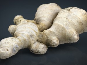 ginger 3D Model