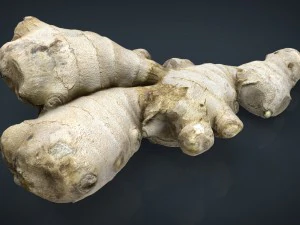 ginger 3D Model