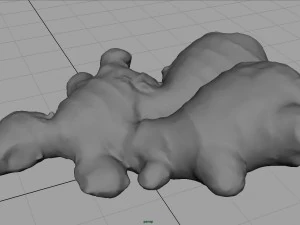ginger 3D Model