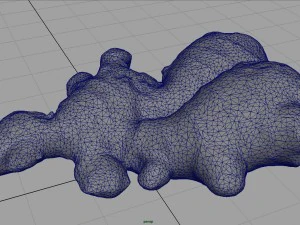 ginger 3D Model