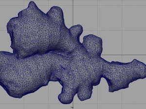 ginger 3D 模型