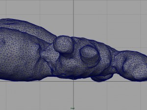 ginger 3D 模型