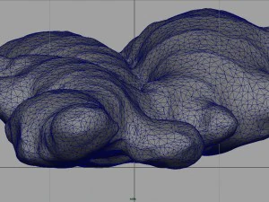 ginger 3D Model