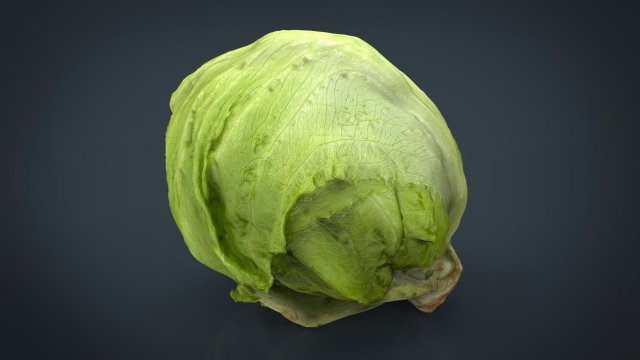 iceberg lettuce Modello 3D .c4d .max .obj .3ds .fbx .stl .blend
