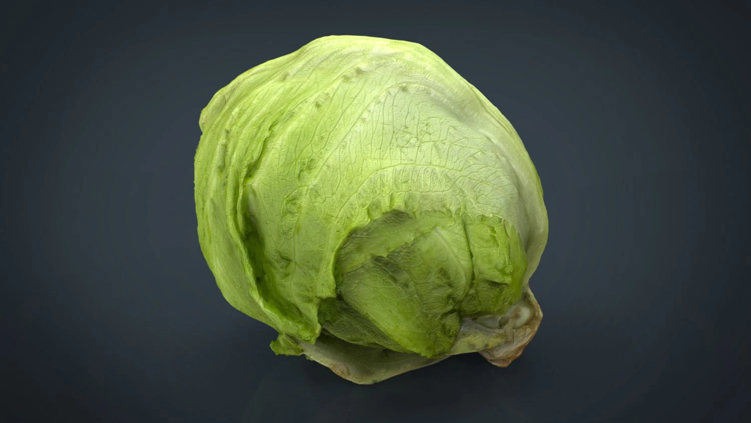iceberg lettuce 3D Model .c4d .max .obj .3ds .fbx .stl .blend 