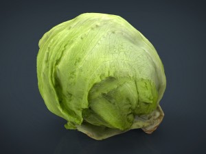 iceberg lettuce Modello 3D