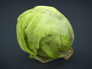 lechuga iceberg Modelo 3D
