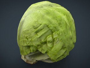 iceberg lettuce Modello 3D