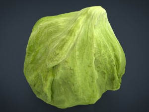 iceberg lettuce Modello 3D
