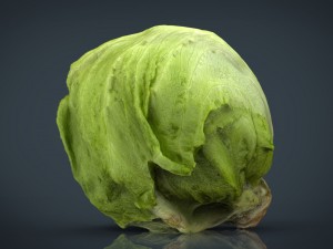 iceberg lettuce Modello 3D