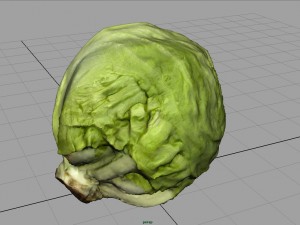 iceberg lettuce Modello 3D