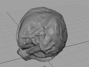 iceberg lettuce Modello 3D