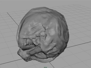 iceberg lettuce 3D Model