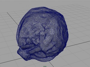 iceberg lettuce Modello 3D