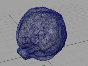 iceberg lettuce 3D Model