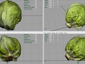 iceberg lettuce Modello 3D