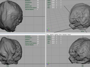 iceberg lettuce Modello 3D