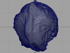 iceberg lettuce Modello 3D