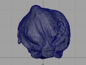 iceberg lettuce Modello 3D