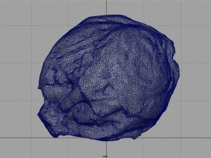 iceberg lettuce Modello 3D