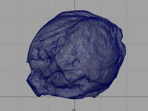 iceberg lettuce 3D Model