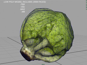 iceberg lettuce Modello 3D